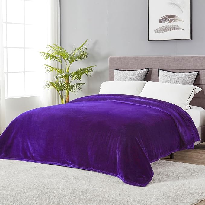 DREAMNINE Extra Large Fleece Blanket, Soft Comfy Fluffy Bed Blankets Queen Size 90" x 90",Luxury Decorative Fuzzy Blanket for Bedroom,Big Cozy Shaggy Warm Flannel Blankets for Winter Autumn Pet,Purple