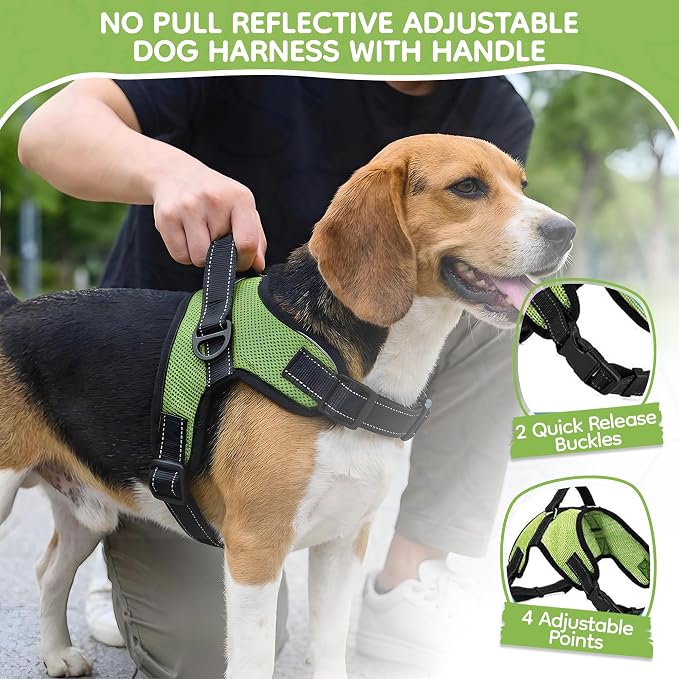 No Pull Reflective Adjustable Dog Harness With Handle- Comfortable Soft All Weather Mesh, Easy On Puppy Harness For Small Medium and Large Dogs (Green) Medium