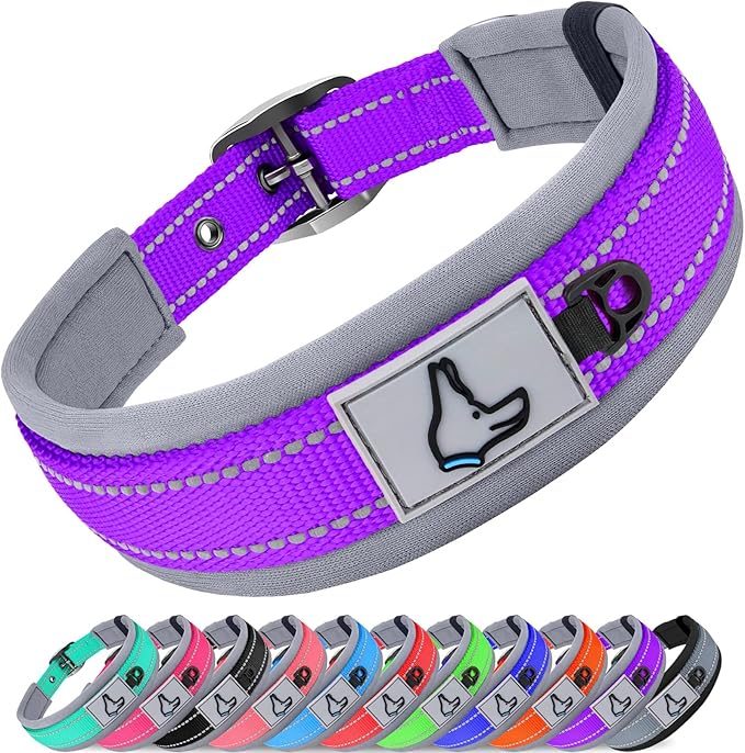 Joytale Dog Collar for Medium Dogs, Neoprene Padded and Adjustable, Reflective Wide Heavy Duty Pet Collars with Durable Metal Belt Buckle for Walking, Purple, M