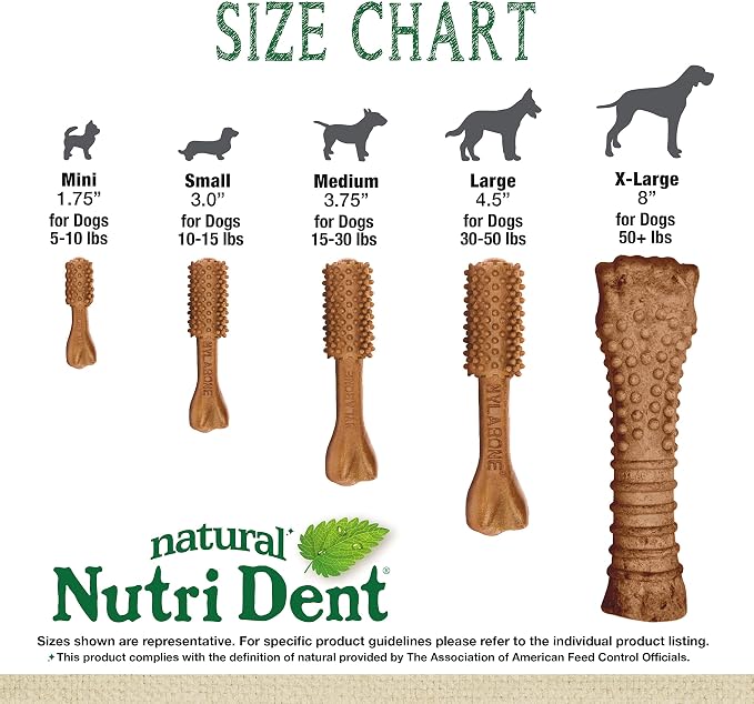 Nylabone Nutri Dent Dog Dental Chews - Natural Dog Teeth Cleaning & Breath Freshener - Dental Treats for Dogs - Filet Mignon Flavor, X-Large (1 Count) (Pack of 2)