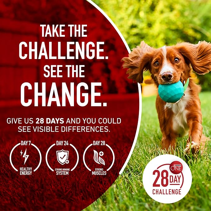 Purina ONE Natural High Protein Dry Dog Food Dry True Instinct with Real Beef and Salmon With Bone Broth and Added Vitamins, Minerals and Nutrients - 27.5 lb. Bag