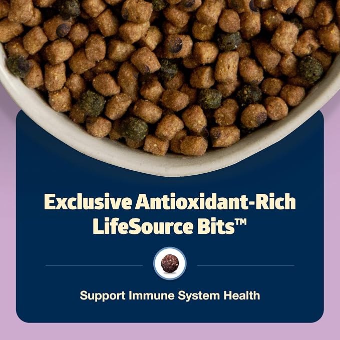 Blue Buffalo Freedom Grain-Free Indoor Dry Kitten Food with DHA, Complete & Balanced Nutrition for Kittens, Chicken Recipe, 5-lb. Bag
