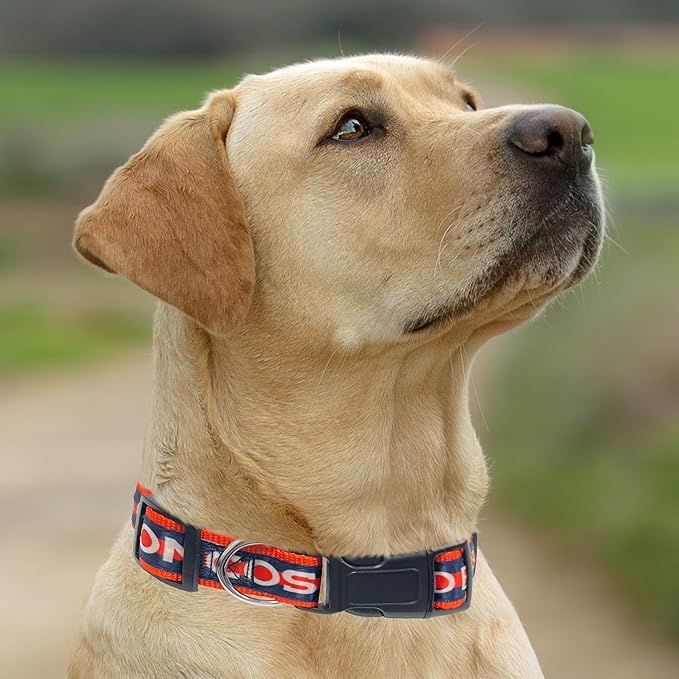 Pets First NFL Denver Broncos Pet Collar, Large, DEN-3036-LG