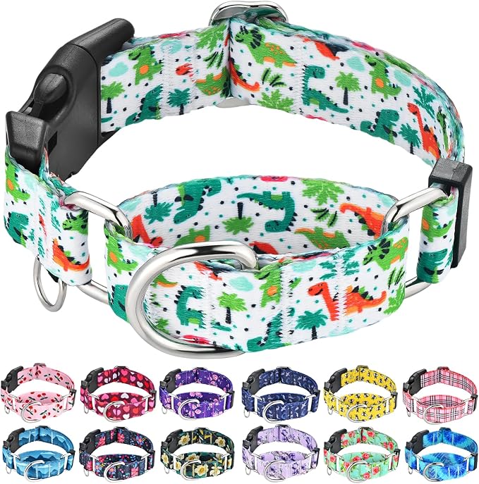 Martingale Dog Collars with Buckle No Pull Training Dog Collar for Large Dogs (Green Dinosaur, Large)
