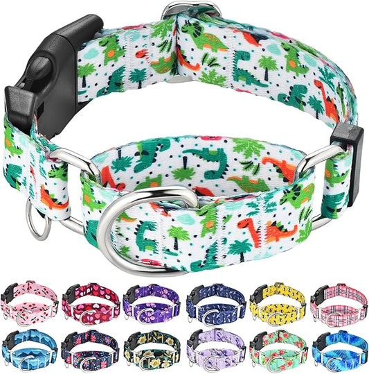 Martingale Dog Collars with Buckle No Pull Training Dog Collar for Small Dogs (Green Dinosaur, Small)