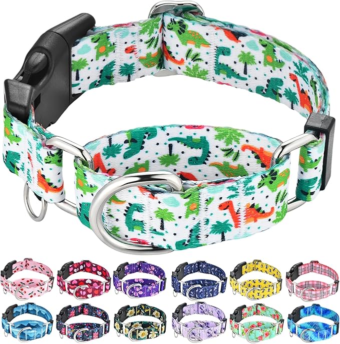 Martingale Dog Collars with Buckle No Pull Training Dog Collar for Medium Dogs (Green Dinosaur, Medium)