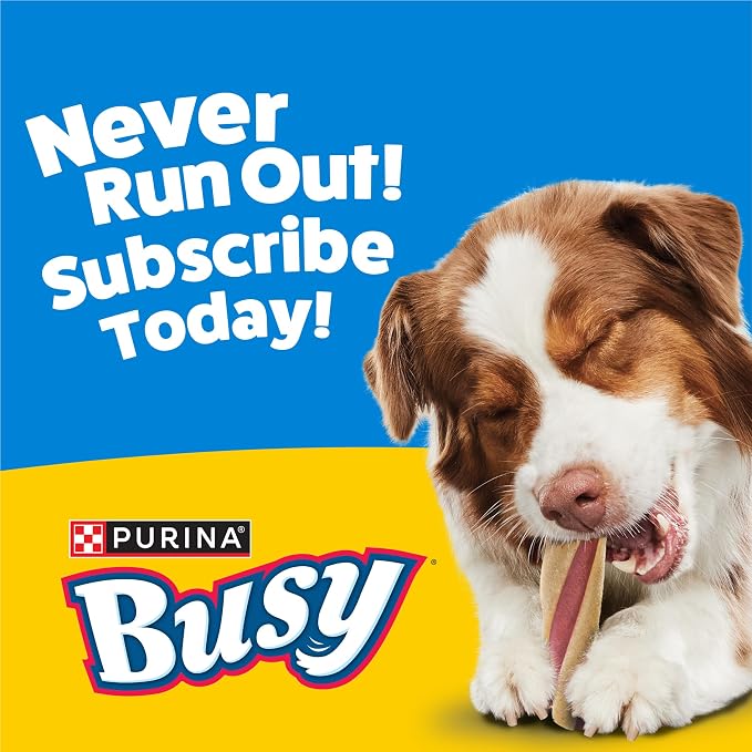 Purina Busy With Beggin' Dog Treats, Twist'd - 10 Count (Pack of 1)