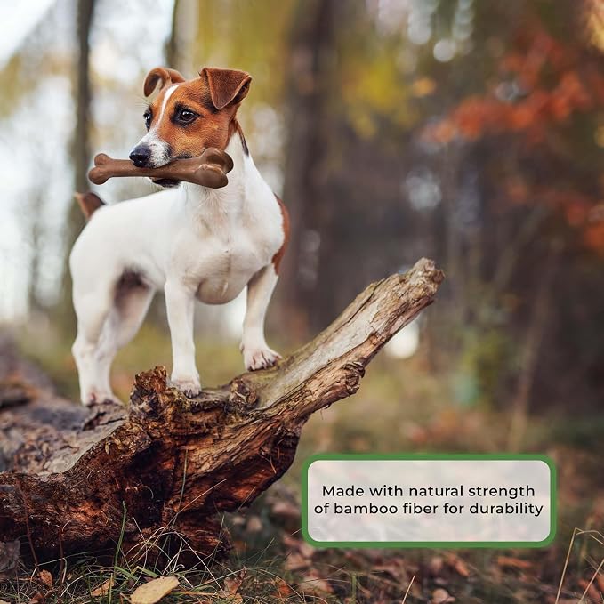 SPOT Bam-Bones Bone - Made with Strong Bamboo Fiber, Durable Long Lasting Dog Chew for Light to Moderate Chewers, Great Toy for Adult Dogs & Teething Puppies under 40lbs, 7.25in, Bacon Flavor
