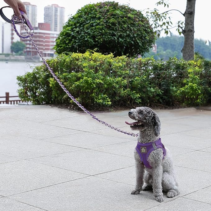 Chain Dog Leash Chew Proof Metal Leash for Medium Large Dogs, Chain Link Dog Anti Chew 5.2FT / 4FT Strong Anti Bite Comfortable Soft Padded Handle (Purple, 5.2FT(80-150lb))