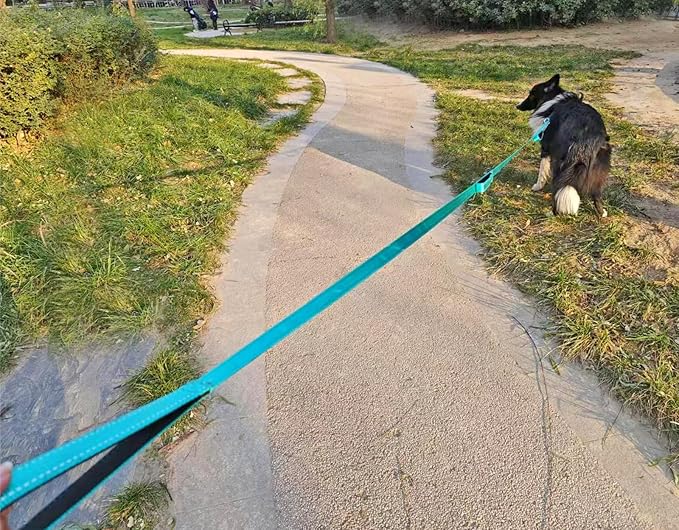 3 Handle Dog Leash, 10FT Triple Handle Reflective Stitching with Padded Traffic Handles, Heavy Duty Training Pet Lead for Control and Safety (Green)