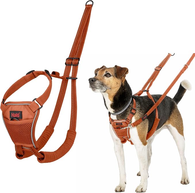 Halti No Pull Harness - Stop Your Dog Pulling on The Leash. Adjustable, Lightweight and Easy to Use. Reflective Dog Training Harness for Small Dogs (Size S, Burnt Orange)