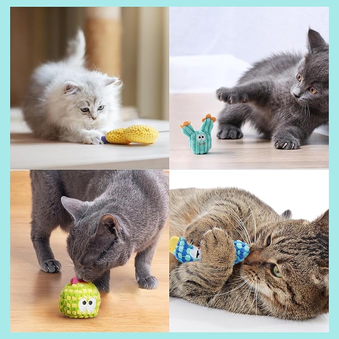 5 Pack Cactus Catnip Toys, 100% Organic Catnip Toys for Indoor Cats, Interactive Plush Chew Fun Without Cotton, Teething Soft Kittens Toys for Kitty, Colorful