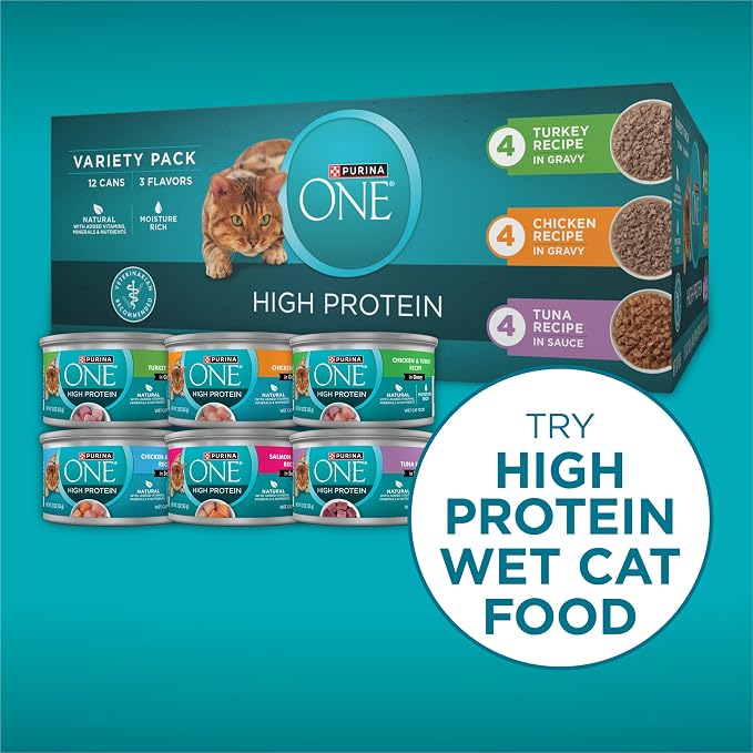 Purina ONE Plus High Protein Cat Food Dry Salmon and Ocean Whitefish Cat Skin and Coat Health Formula - 16 lb. Bag