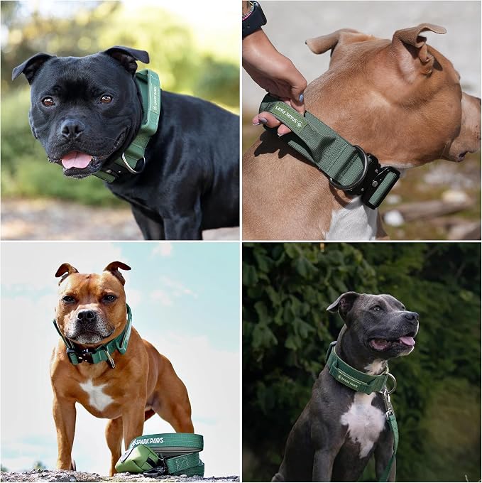 Spark Paws Tactical Dog Collar - Heavy Duty, Premium Quality, Thick and Durable for Large and Medium Dogs - Solid Green - S - 1.5"