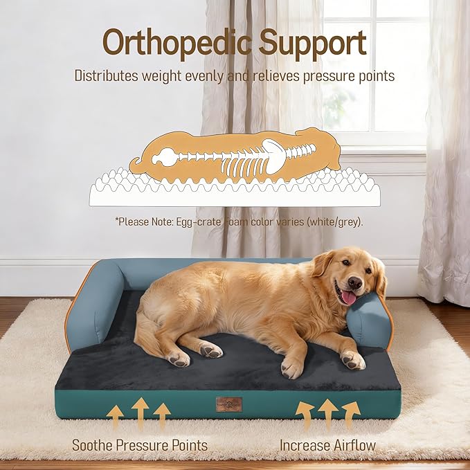 Comfort Expression Memory Foam Dog Bed Large Sized Dogs - XL Waterproof Orthopedic Pet Bed for Big Dog with Washable Removable Cover Non-Slip Pet Sofa Couch, 42 x 30