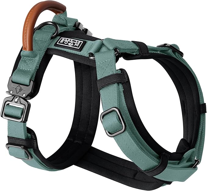 MADE TO ROAM Premium Explorer Harness - Y-Shaped Dog Harness with Adjustable Durable Nylon, Soft Padding, Metal Buckles and Leather Handle for Small, Medium, Large Dogs (Florida Seaside, Size 4)