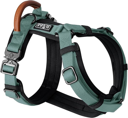MADE TO ROAM Premium Explorer Harness - Y-Shaped Dog Harness with Adjustable Durable Nylon, Soft Padding, Metal Buckles and Leather Handle for Small, Medium, Large Dogs (Florida Seaside, Size 4)