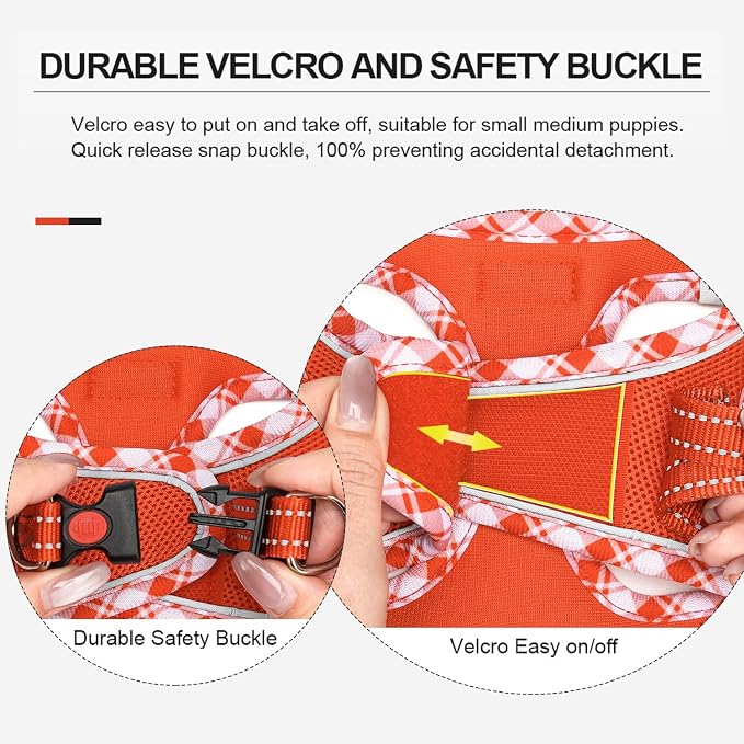 Mercano Soft Mesh Dog Harness and Leash Set, Step-in Reflective Breathable Lightweight Vest Harnesses with Safety Buckle for Small Dogs, Cats (Tangerine, XXS)