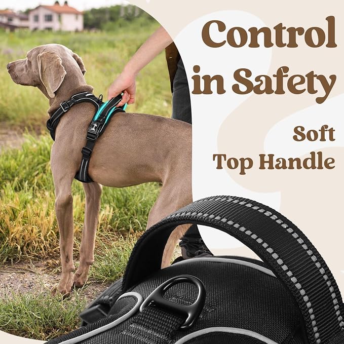 rabbitgoo Dog Harness for Large, No Pull Easy On & Off with 3 Buckles Pet Harness, Adjustable Soft Walking Vest with 2 Clips and Handle, Reflective for Large Dogs, Black, L