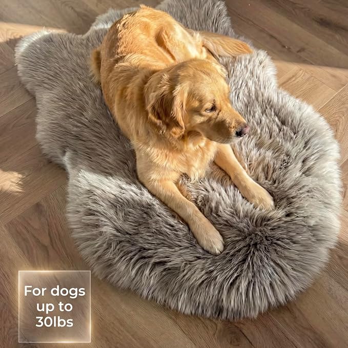 IHAPPYDOG Luxury Faux Fur Orthopedic Dog Bed, Memory Foam Dog Bed for Small, Medium, Large and XL Pets, Fluffy Pet Rug with Waterproof and Washable Cover (Grey, 30"x20")