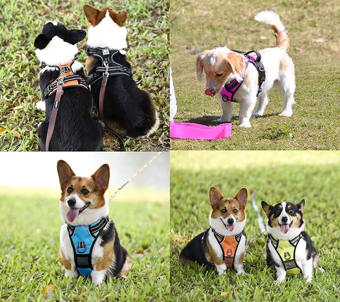PoyPet No Pull Dog Harness, No Choke Front Lead Dog Reflective Harness, Adjustable Soft Padded Pet Vest with Easy Control Handle for Small to Large Dogs(Black,M)
