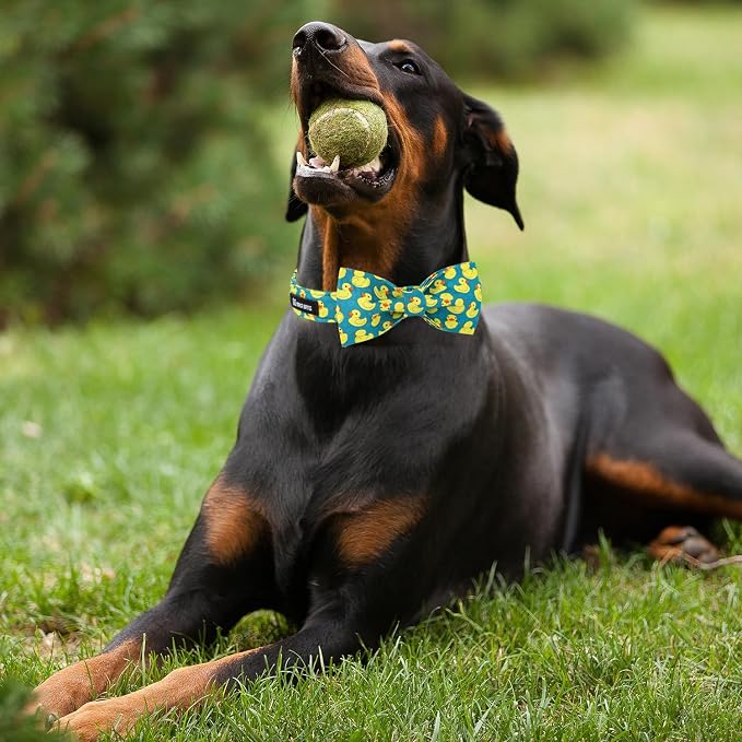 Maca Bates Summer Cute Duck Dog Collar with Bow Tie Funny Ducky Puppy Bowtie Collars Adjustable Durable Breakaway Green Fun Fancy Thick Collar for Boy Girl Male Female Dogs,Large
