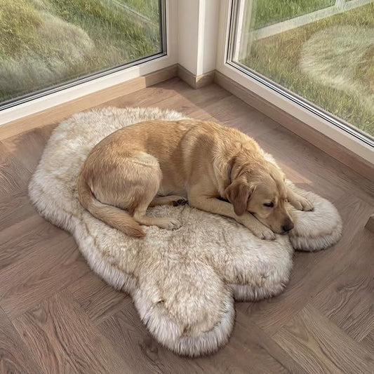 IHAPPYDOG Luxury Faux Fur Orthopedic Dog Bed, Memory Foam Dog Bed for Small, Medium, Large and XL Pets, Fluffy Pet Bed with Waterproof and Washable Cover (White w/Brown Tips, 50"x30")