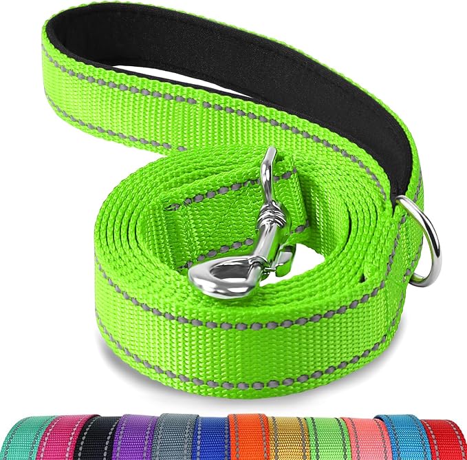 Joytale Dog Leash, 5 FT Double-Sided Reflective, Padded Handle Nylon Heavy Duty Leashes for Small Dogs Walking, Green
