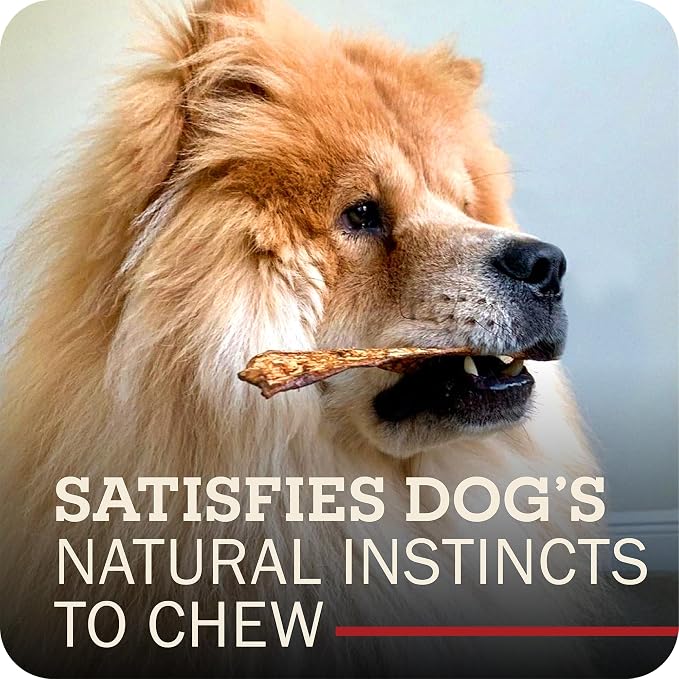 Redbarn Pet Products All-Natural Rawhide Bully Slices - Bully Stick Flavor - Premium Grain-Free Beef Hide Treats High Protein Low Fat for Chewers - 9 oz Bag