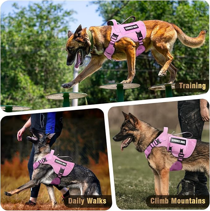 WINSEE Tactical Dog Harness for Large Dog, Heavy Duty Service Dog MOLLE Vest with 10 Pet Patches, No Pull Military Working Vest for Training Hunting Walking