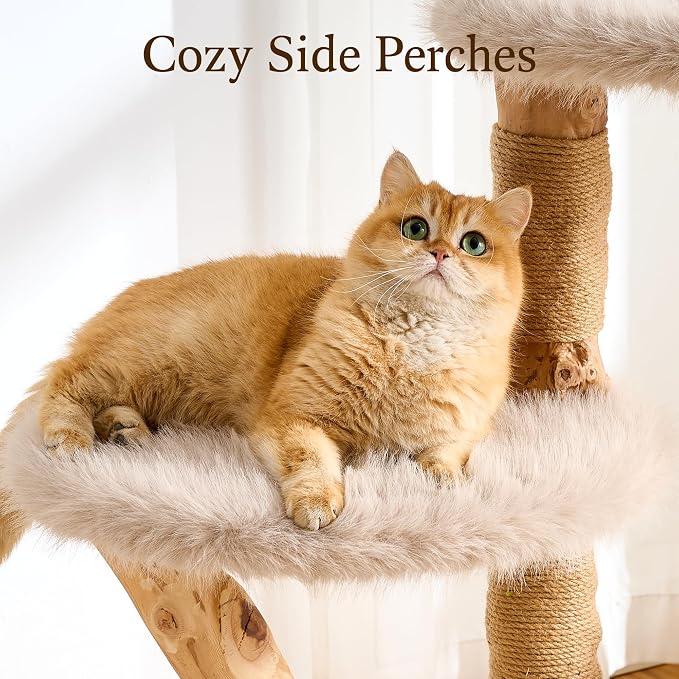 HITTITE Natural Wood Cat Tree Tower with Scratching Post, 53.5 Inches Tall Modern Cat Tower with Cozy Bed and Condo, Luxury Real Branch Cat Tree for Indoor Cats Large Adult, Khaki.