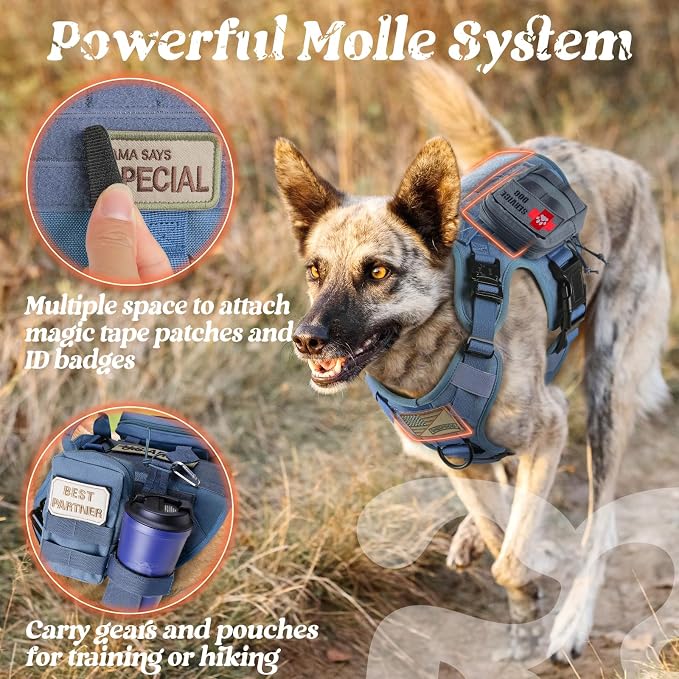 rabbitgoo Tactical Dog Harness for Large, Heavy Duty Pet Harness with Handle, No-Pull Service Vest Large Breed, Adjustable Military Dog Vest for Training Hunting Walking, Blue, XL