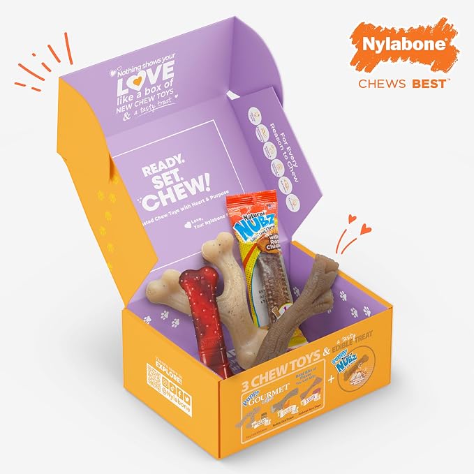 Nylabone Dog Gift Box, Includes 3 Strong Chew Toys and 1 Natural Treat, Gifts for Dogs, Small - Up to 25 lbs, 4 Pack
