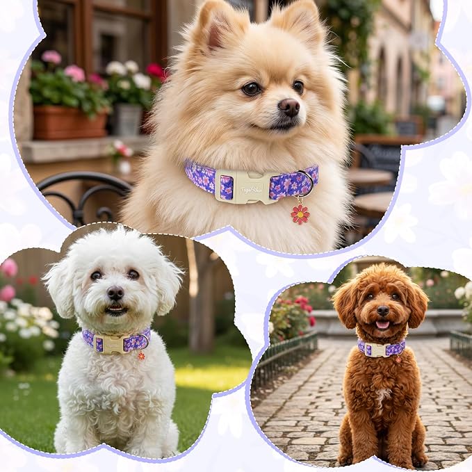 Floral Dog Collar, Spring Summer Cute Purple Flower Pet Collar for Small Medium Large Dogs, Cotton Puppy Collar with Adjustable Buckle, Girl or Boy Dog for Gifts & Daily Use-S