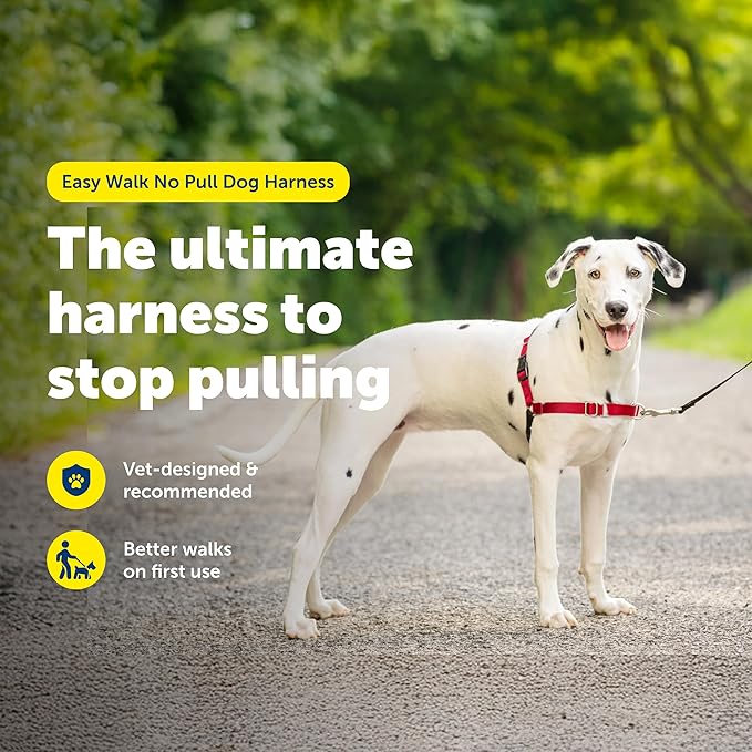 PetSafe Easy Walk No-Pull Dog Harness - Ultimate Harness to Help Stop Pulling - Pull-Free Walks - Take Control & Teach Better Leash Manners - Patented Martingale Loop Design - Red, Medium/Large