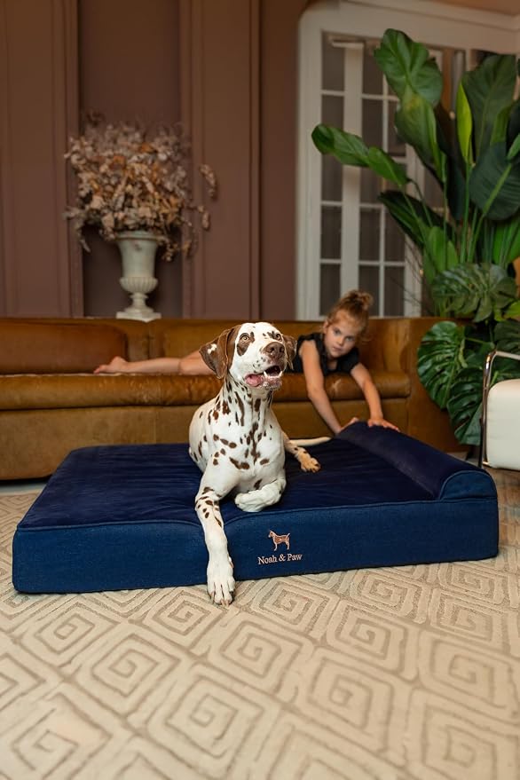 NOAH & PAW XL Dog Bed, 45x35x9.1 Inch, Orthopedic Large Dog Beds, Eggshell Memory Foam Infused with Cooling Gel, Water Resistant, Machine Washable, Includes Inner Cover (Denim Collection)