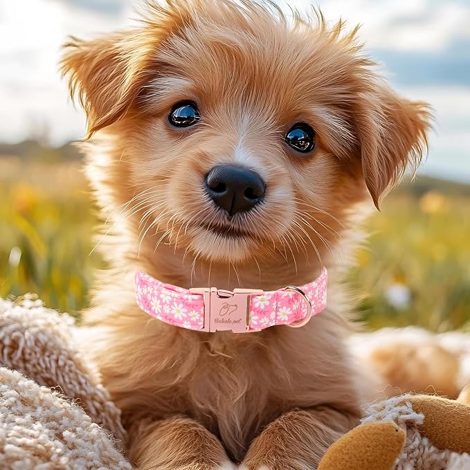 Dainty Daisy Dog Collar, Spring/Summer Pink Floral Girl Dog Collars, Adjustable Heavy Duty Cottagecore Female Dogs Collar for Small Medium Large Dogs with Metal Buckle XS