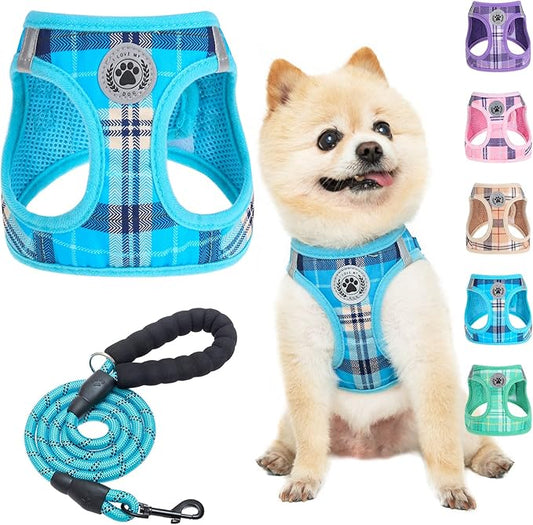 BEAUTYZOO Small Dog Harness and Leash Set,Step in No Choke No Pull Soft Mesh Dog Harnesses Reflective for Extra-Small/Small Medium Puppy Dogs and Cats, Plaid Dog Vest Harness for XS S Pets, Blue XXS