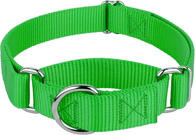 Country Brook Petz - Martingale Dog Collar - Heavy-Duty Training Collar with No Buckle - Service Dog Collar for All Pups - 20 Vibrant Colors (Hot Lime Green, 1 Inch, Extra Large)