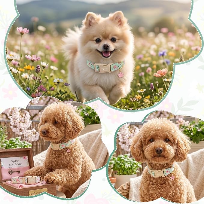 Dog Collar with Pink Floral Patterns, Spring Summer Collection Green Dog Collar with Exquisite Pendant, Durable Adjustable Collars for Gifts & Daily Use-M