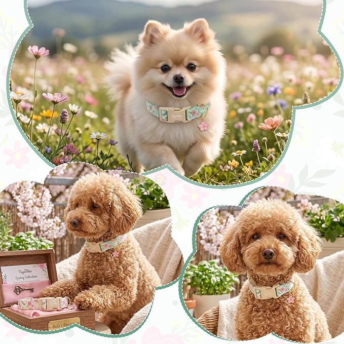 Dog Collar with Pink Floral Patterns, Spring Summer Collection Green Dog Collar with Exquisite Pendant, Durable Adjustable Collars for Gifts & Daily Use-XS