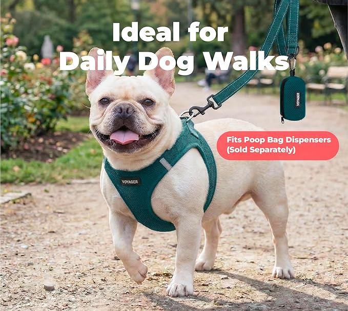 Best Pet Supplies Voyager Reflective Dog Leash or Collar with Neoprene Handle, for Small, Medium, and Large Breed Puppies, Cute and Heavy Duty for Walking, Running and Training - Blue (Leash), S