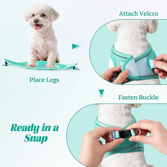 YIMEIS Dog Harness and Leash Set, No Pull Soft Mesh Pet Harness, Reflective Adjustable Puppy Vest for Small Medium Large Dogs, Cats (Tiffany Blue, Medium (Pack of 1)
