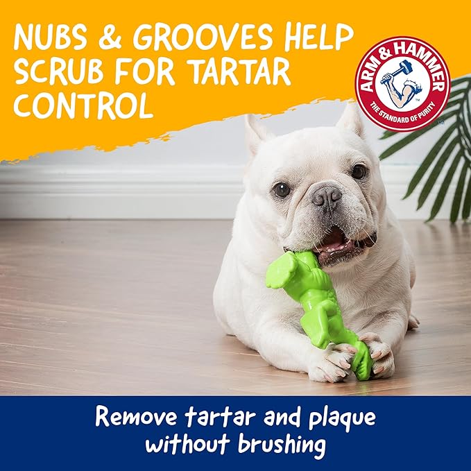 Arm & Hammer Nubbies Denta-Saurus T-Rex Dog Dental Chew Toy, Mint Flavor, for Moderate Chewers, Nylon, Reduces Plaque and Tartar Without Brushing, Baking Soda Infused - 24 Pack