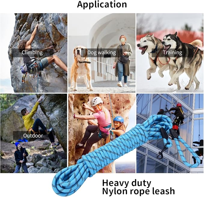 Long Dog Leash for Training 30Ft-Reflective Nylon Rope with Swivel Hook-Recall Agility Lead for Large Small Medium Dogs Outside Walking Hiking-Sky Blue