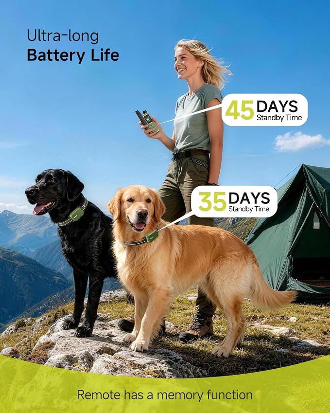 Shock Collar for 2 Dogs (10-120lbs) - 4200FT Dog Training Collar with Remote, IPX8 Waterproof Electric Collar with 4 Training Modes, Rechargeable E-Collar for Large Medium Small Breeds