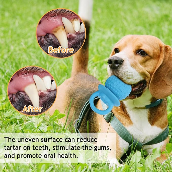Latex Chew Dog Toys, Novelty Squeaky Pacifier Dog Toys for Teething Puppies, Mild Chewing Small, Medium, Large Dogs, Pet Dogs Supplies Newborn Puppy Gift (2 Pcs, Blue+Green)