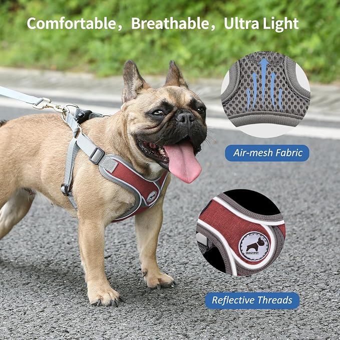 Dog Harness with Leash Set, Adjustable Step in with Breathable Padded Puppy Harness for Walking Escape Proof Small Dogs (XS, Red)