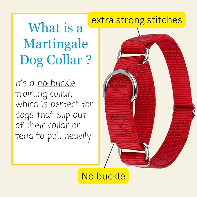 Country Brook Petz - Martingale Dog Collar - Heavy-Duty Training Collar with No Buckle - Service Dog Collar for All Pups - 20 Vibrant Colors (Red, 3/8 Inch, 3XS)