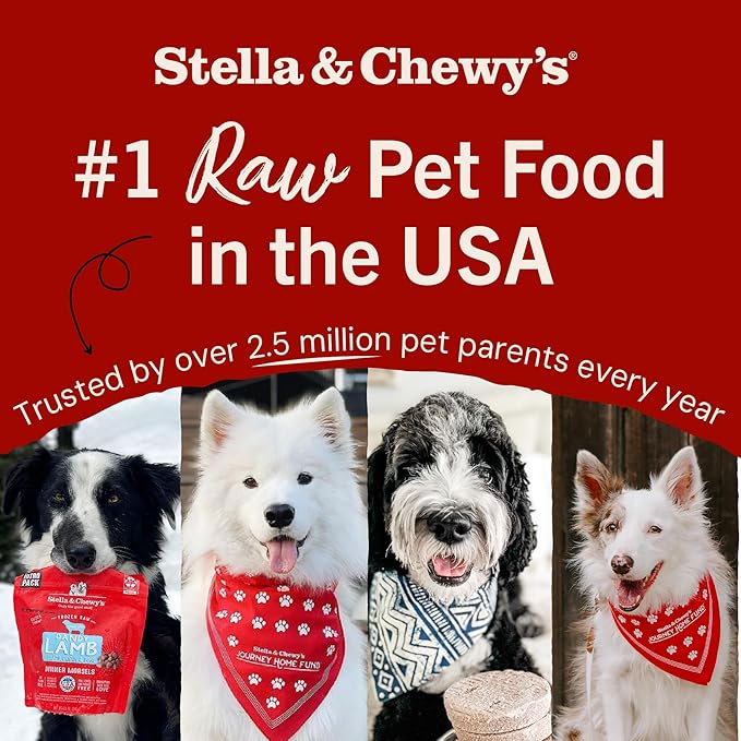 Stella & Chewy's Freeze-Dried Raw Beef Meal Mixers- Dog Food Topper and Mixer - Made with 95% Grass-Fed Beef, Organs & Bone - Perfect for Picky Eaters - Grain-Free - 18 oz